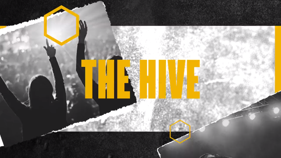 We are The Hive Picture